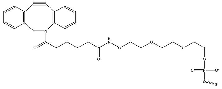 Bio-Synthesis Inc. Oligo Structure